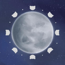 Art of a full moon decorated with 8 silhouettes of cat heads surrounding it. Background is of a starry night sky.